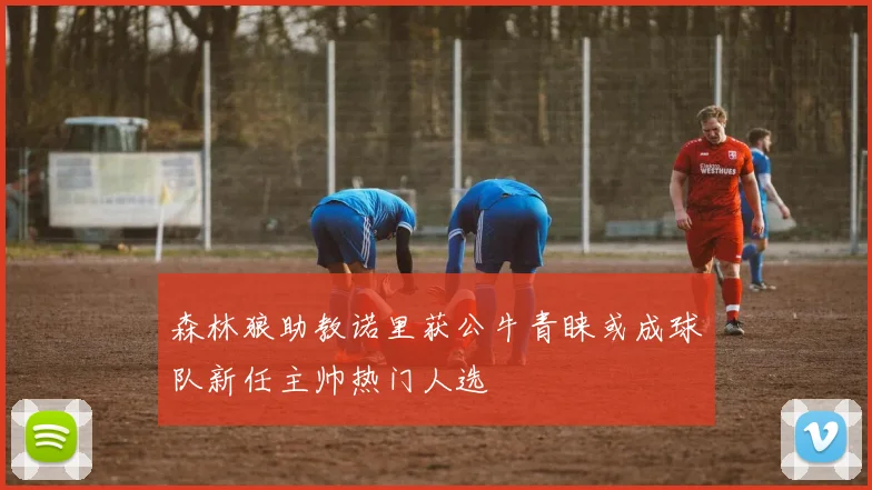 森林狼助教诺里获公牛青睐或成球队新任主帅热门人选
